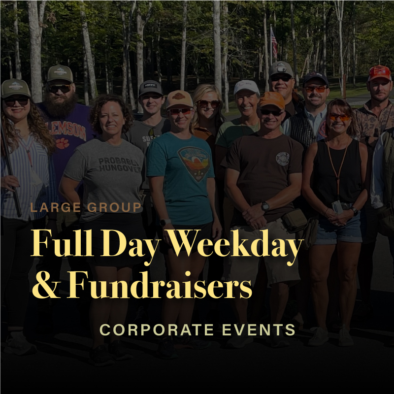 Large Group Full-Day Weekday