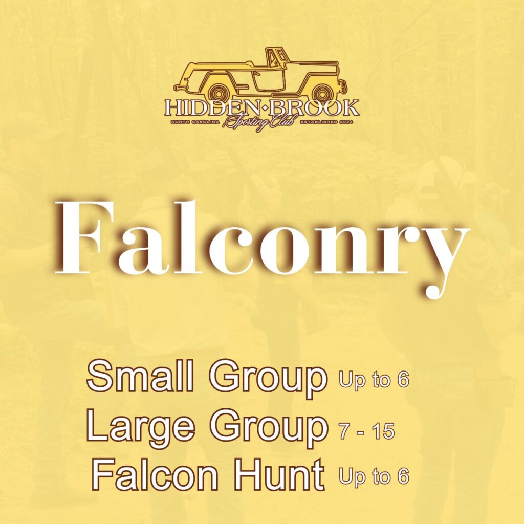 Falconry Experiences at Hidden Brook